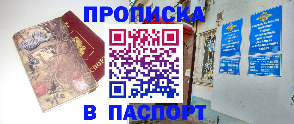 пропишу в квартире в Светлогорске